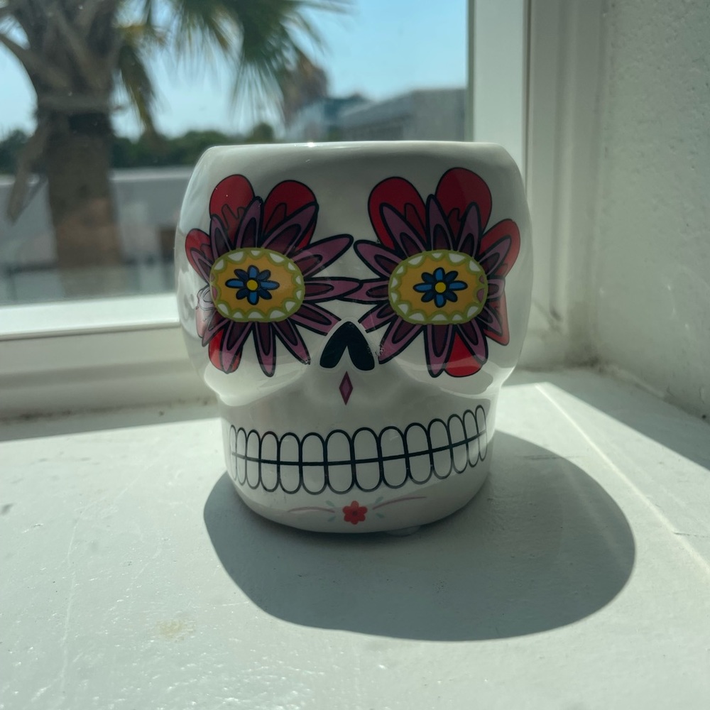 Day of the Dead Skull Plant Potter 🪴